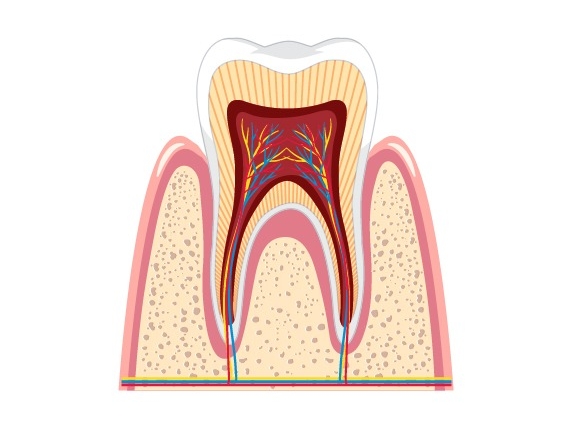 Endodontics