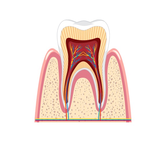 Endodontics